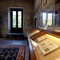 The History Room The History Room
