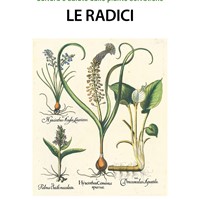 Le radici - Bologna Le radici - Bologna