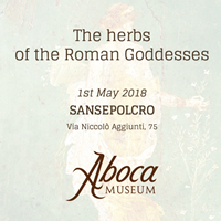 The herbs of the Roman Goddesses The herbs of the Roman Goddesses