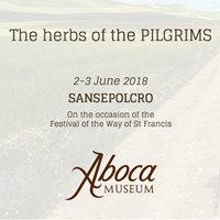 The herbs of the Pilgrims The herbs of the Pilgrims