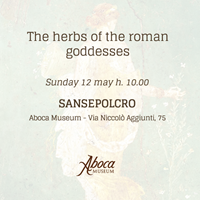 The herbs of the roman goddesses The herbs of the roman goddesses