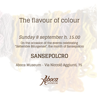 The flavour of colour The flavour of colour