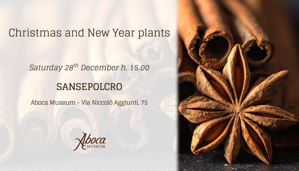 Christmas and New Year plants Christmas and New Year plants