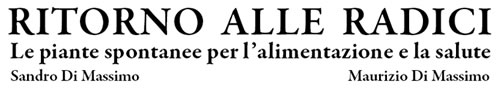 ritorno alle radici