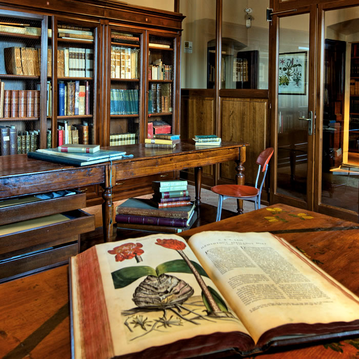 La Bibliotheca Antiqua