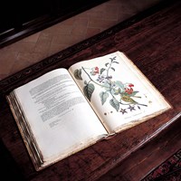 La Bibliotheca Antiqua La Bibliotheca Antiqua