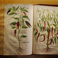 La Bibliotheca Antiqua La Bibliotheca Antiqua