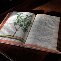 La Bibliotheca Antiqua La Bibliotheca Antiqua