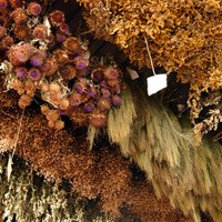 La Stanza delle Erbe La Stanza delle Erbe