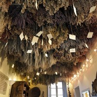 La Stanza delle Erbe La Stanza delle Erbe