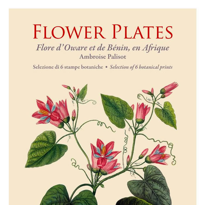 Flower Plates