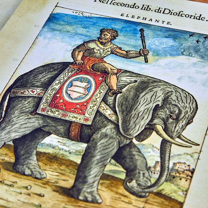 Cartella con 12 stampe da collezione "I discorsi di P. A. Mattioli"