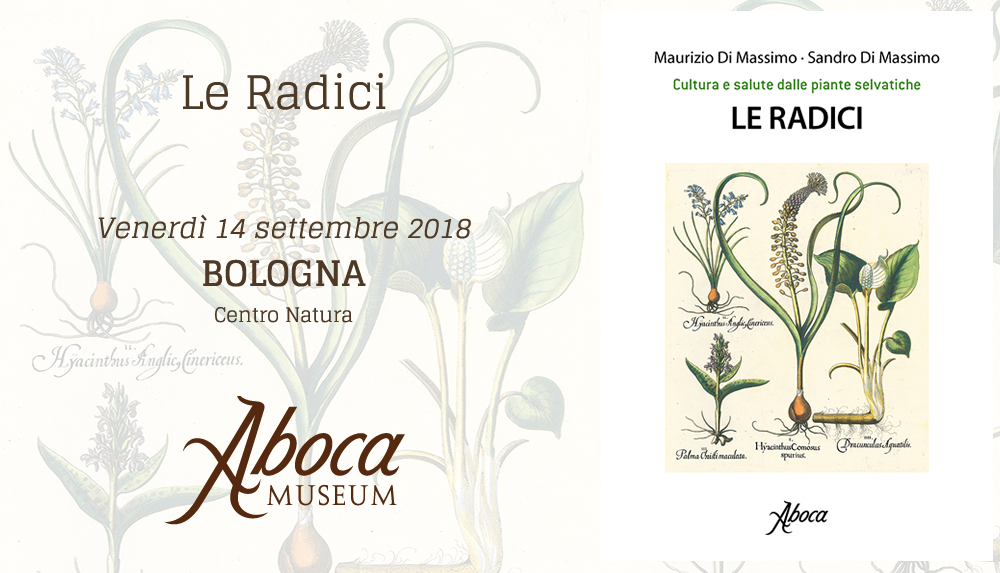 Le radici - Bologna