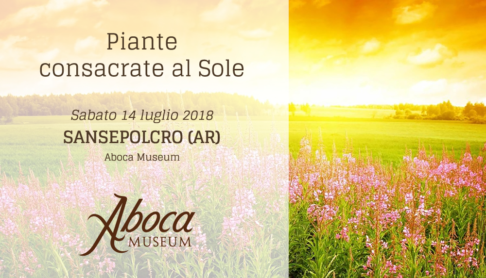 Piante consacrate al sole