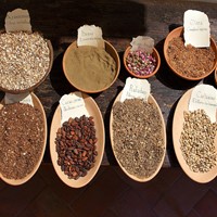 La Stanza delle Erbe La Stanza delle Erbe