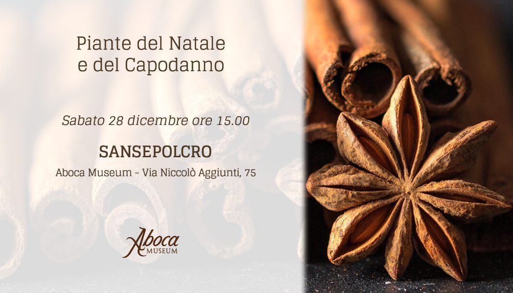 Piante del Natale e del Capodanno - Balsamo labbra