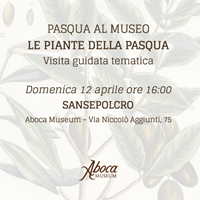 Le piante della Pasqua Le piante della Pasqua