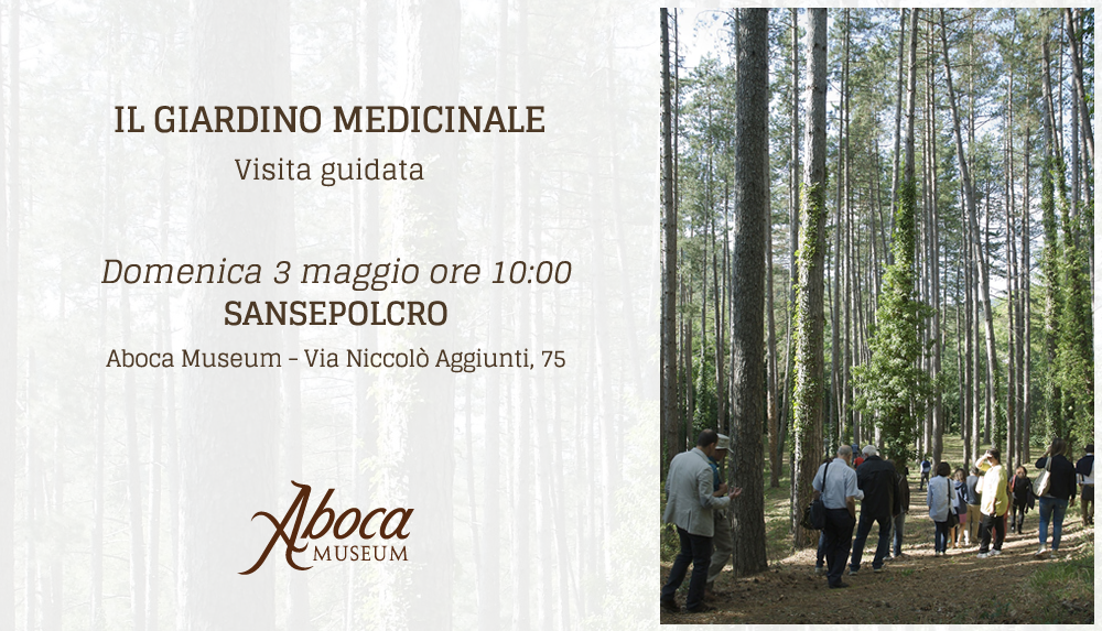 Il giardino medicinale Il giardino medicinale
