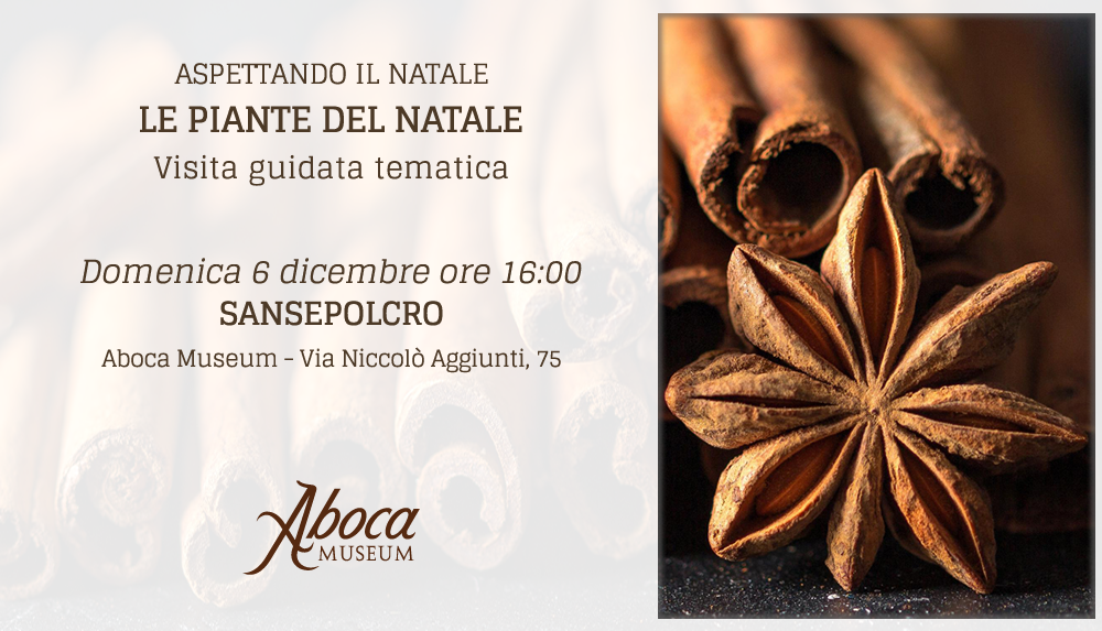 Aspettando il Natale - Le piante del Natale Aspettando il Natale - Le piante del Natale