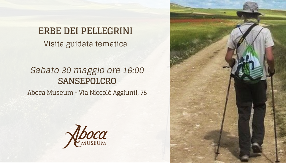 Erbe dei pellegrini Erbe dei pellegrini