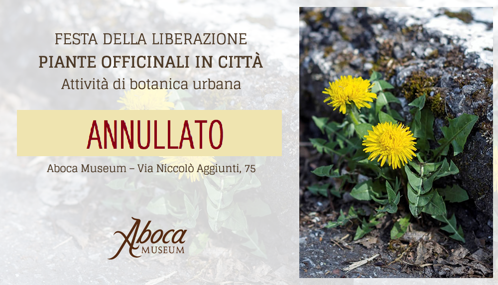 Festa della Liberazione - Piante officinali in città