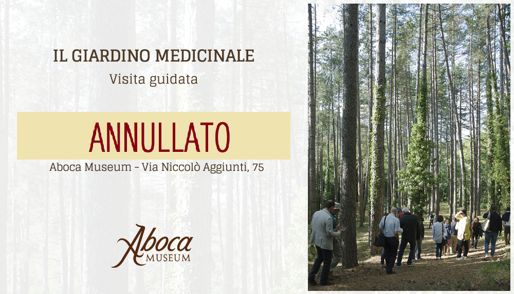 Visita al giardino medicinale