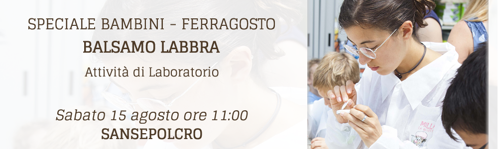 Ferragosto - Attività di laboratorio Ferragosto - Attività di laboratorio