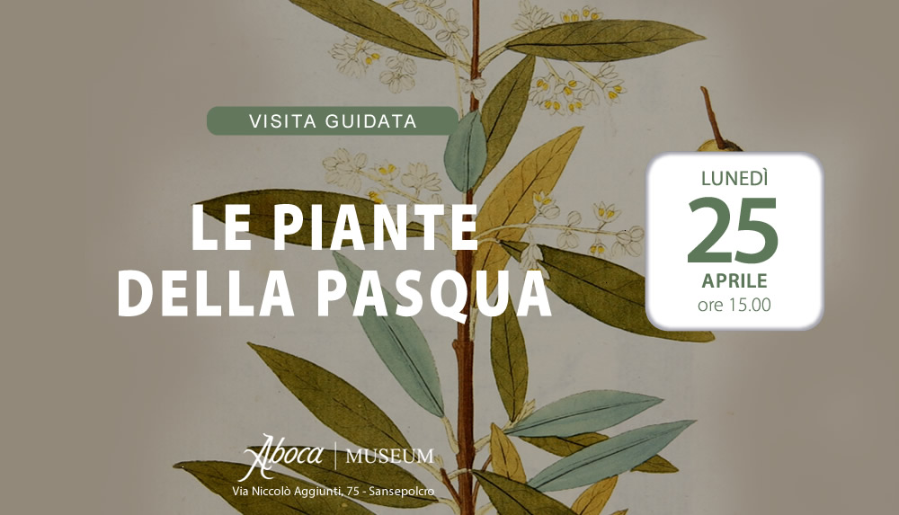 Le piante della Pasqua - Visita guidata tematica