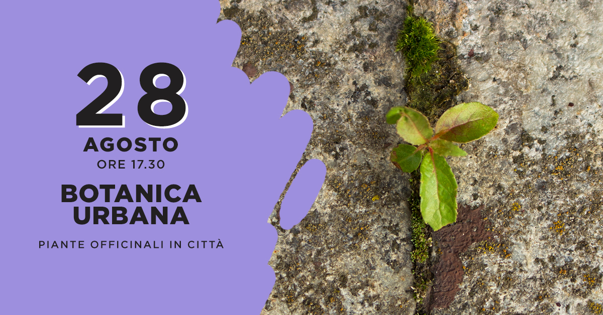 Botanica urbana