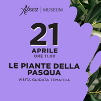 Le piante della Pasqua Le piante della Pasqua