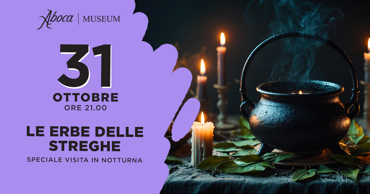 Le erbe delle streghe Le erbe delle streghe