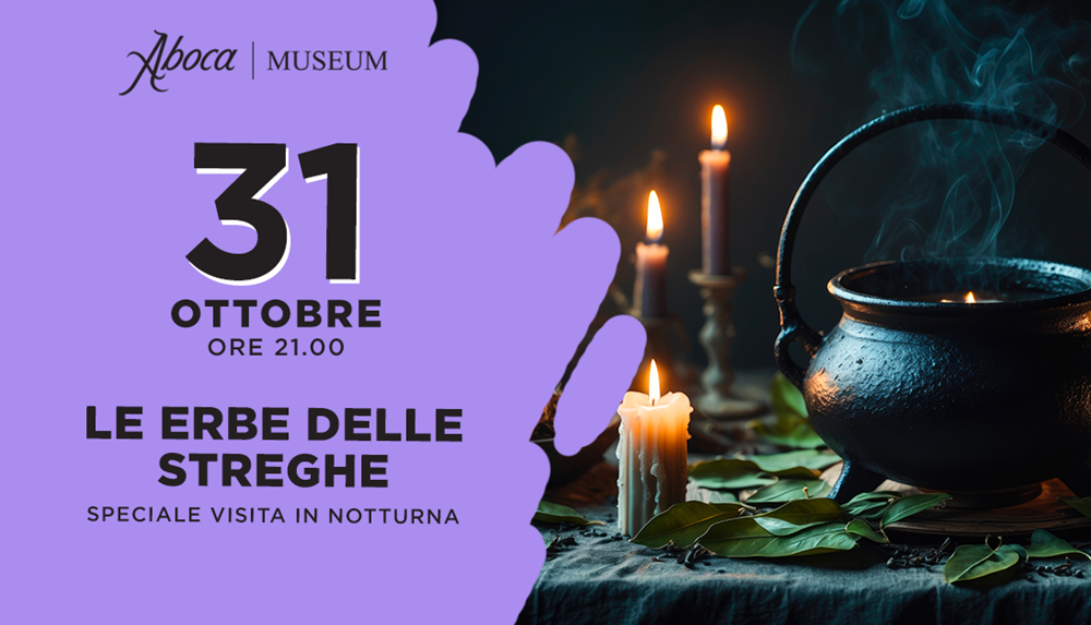 Le erbe delle streghe Le erbe delle streghe