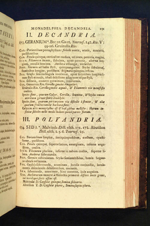 Genera Plantarum eorumque characteres naturales secundum numerum, figuram, situm, et proportionem omnium fructificationis partium