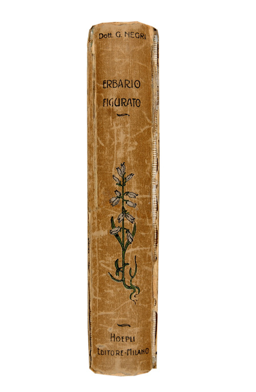 Erbario figurato con speciale riguardo alle piante medicinali. Prefazione del prof. O. Mattirolo. Seconda edizione rifatta con 123 incisioni e atlante di 86 tavole a colori.