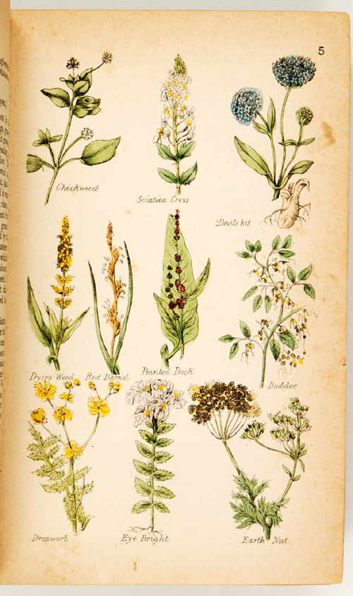 Culpeper's complete herbal: consisting of a comprehensive description of nearly all British and foreign herbs; with their medicinal properties and directions for compounding the medicines extracted from them.