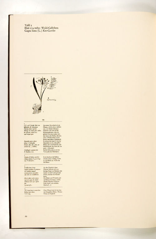 Historia Plantarum. Faksimileausgabe Erste Folge enthaltend siebenundzwanzig Aquarelle aus dem botanischen Nachlass von Conrad Gessner (1516-1565) in der Universitätsbibliothek Erlangen. (...).  Vol. I - VIII