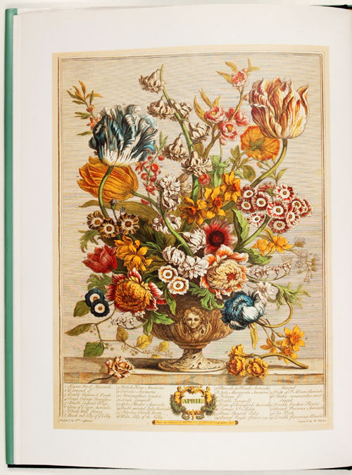 Great flower books 1700 - 1900. A bibliographical record of two centuries of finely-illustrated flower books. By Sacheverell Sitwell and Wilfrid Blunt.
