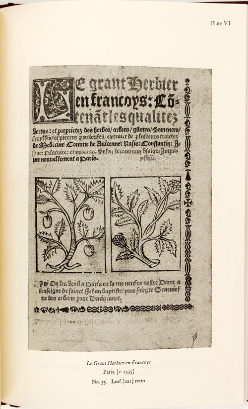 Catalogue of Botanical Books in the Collection of Rachel McMaster Miller Hunt. VOLUME I. Printed Books 1477 - 1700. With several manuscripts of the 12yh, 15th, 16th and 17th centuries. Compilated by Jane Quinby.